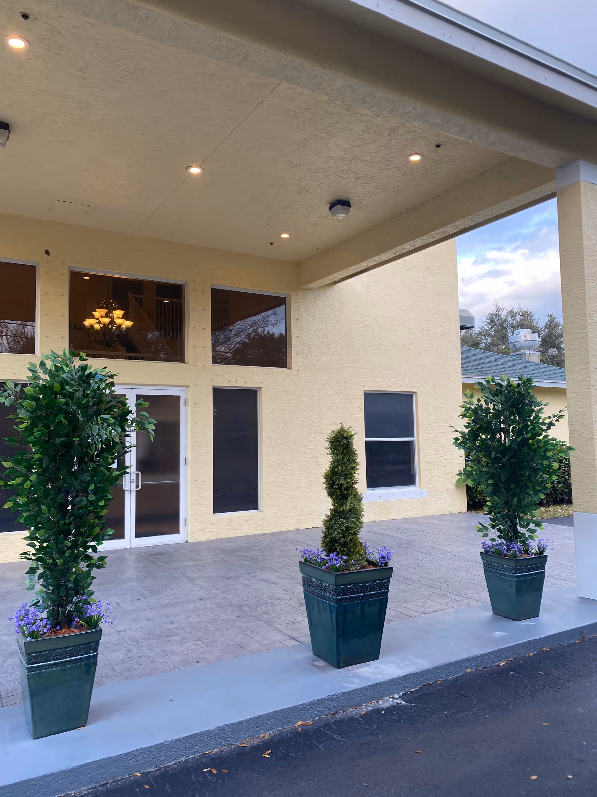 Covered entrance area of a building with three large green potted plants with purple flowers placed on the concrete floor. The building has a yellow exterior with large windows and a glass door. Ceiling lights are visible under the covered area.
