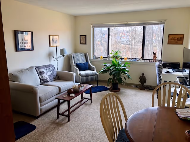 Sunlit living room with a sofa, armchair, coffee table, round dining table and a large window overlooking trees.