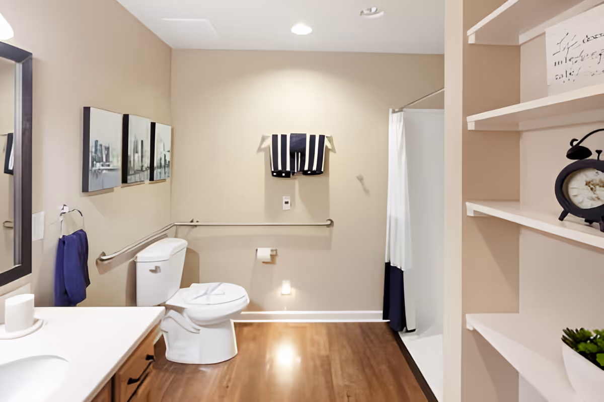 An accessible bathroom with a toilet, sink, walk-in shower, grab bars and shelving.
