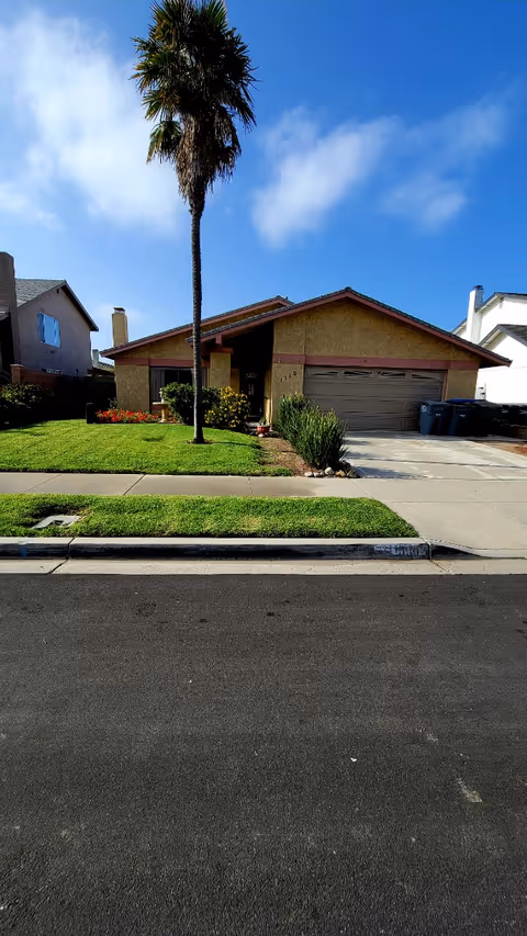 Single-story house with a brown garage door and a tall palm tree in the front yard, surrounded by green grass and plants, under a blue sky with some clouds.
