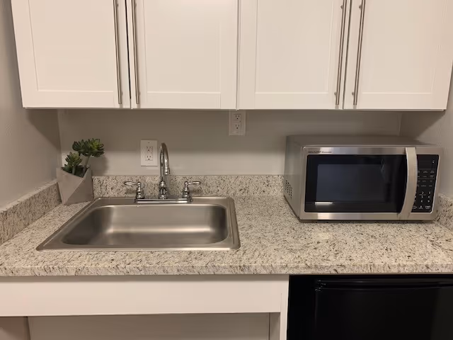 A kitchen countertop with a stainless steel sink and faucet on the left side, a small potted plant next to the sink, and a stainless steel microwave on the right side. White cabinets are mounted on the wall above the countertop.