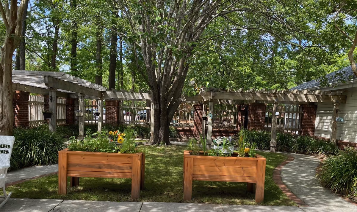 Outdoor garden area with two wooden raised planter boxes filled with plants and flowers, a large tree in the center, a wooden pergola structure supported by brick pillars, and a curved concrete pathway surrounded by greenery and bushes.