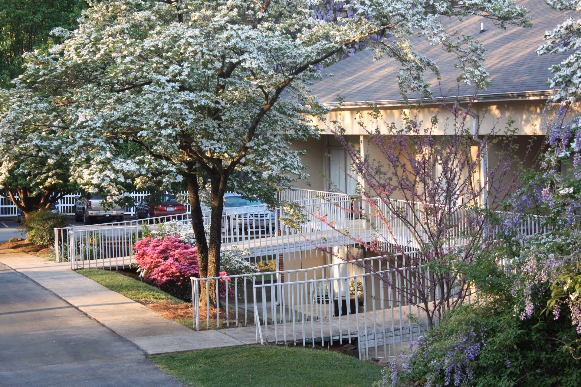 Exterior view of a building at Village at Cook Springs with a ramp and railing surrounded by blooming trees and colorful flowers, including white, pink, and purple blossoms, with parked cars visible in the background.