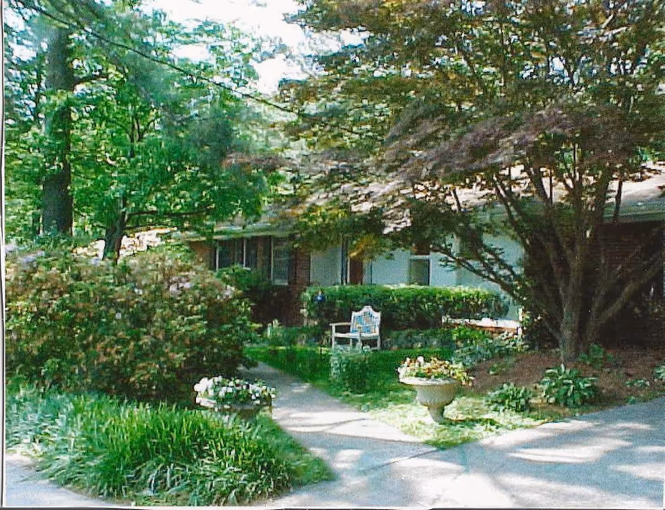A peaceful outdoor garden area with lush green trees, bushes, and plants surrounding a concrete pathway. There is a white chair placed near the center, and a large tree providing shade. A building with windows is partially visible in the background.