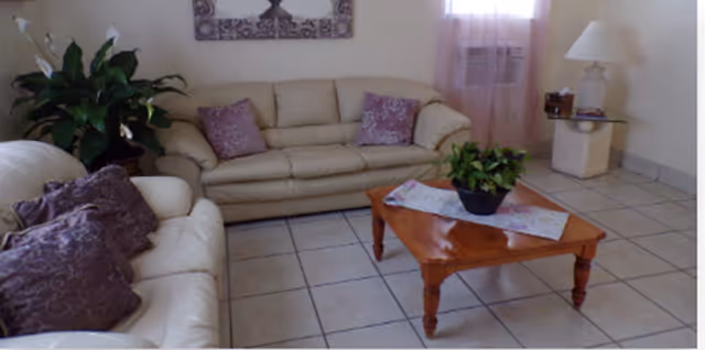 A cozy living room with two cream-colored leather sofas adorned with purple patterned cushions, a wooden coffee table with a potted plant and a decorative runner, a large green plant in the corner, a side table with a lamp, and a window with sheer pink curtains and an air conditioning unit.