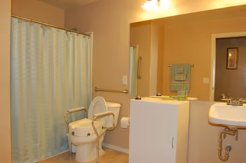 Bathroom with a shower and curtain, a toilet fitted with grab rails, a sink, and a large mirror.