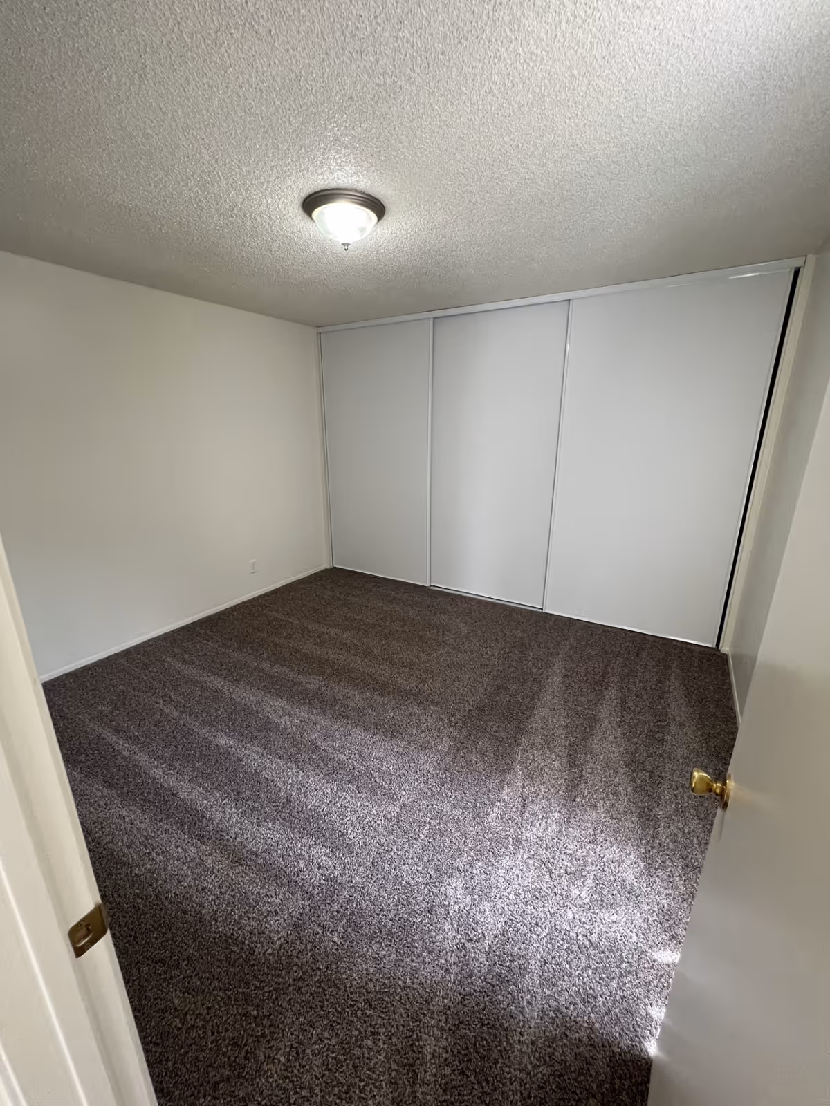 Empty room with beige walls, a ceiling light fixture, brown carpeted floor, and a large white sliding door closet.