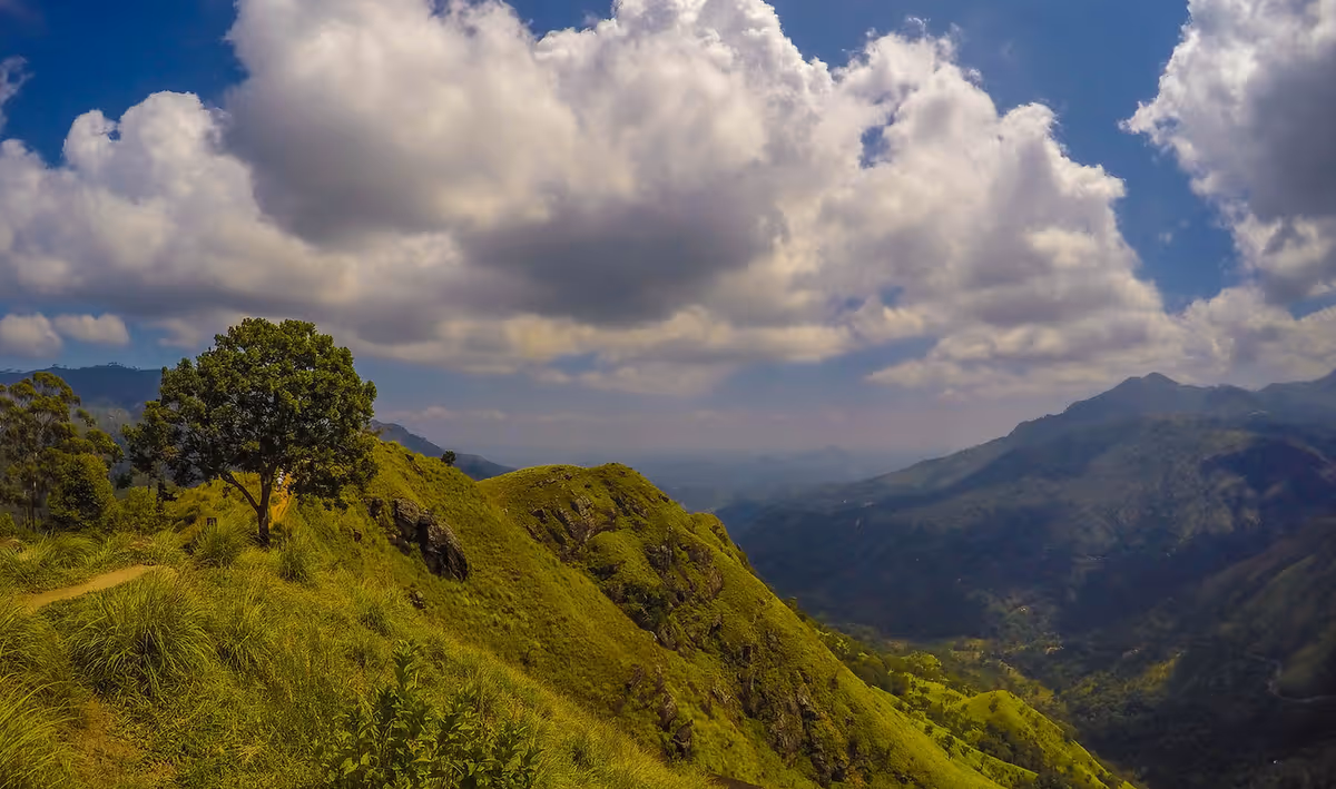 A scenic view of green hills and mountains under a partly cloudy sky with a single tree on the left side of the image.