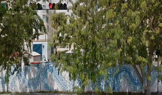 View of a building partially obscured by tall trees and a decorative wall with a blue wave pattern. A traffic light is visible above the wall, and some urban structures can be seen in the background.