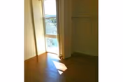 Empty sunlit room with hardwood floors, a closet, and a tall window casting light on the floor.