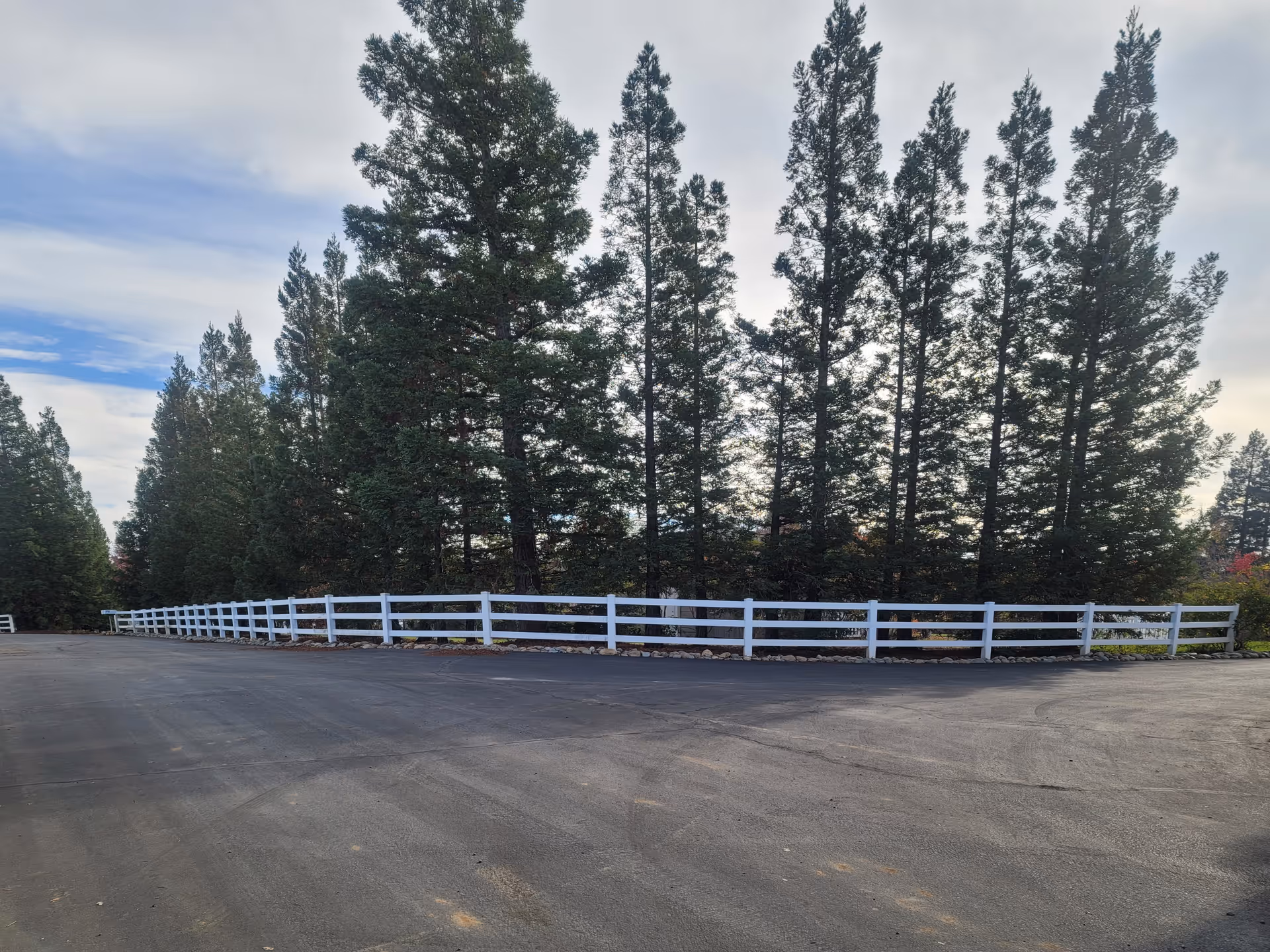 Paved driveway and white wooden fence in front of tall evergreen trees under a cloudy sky.