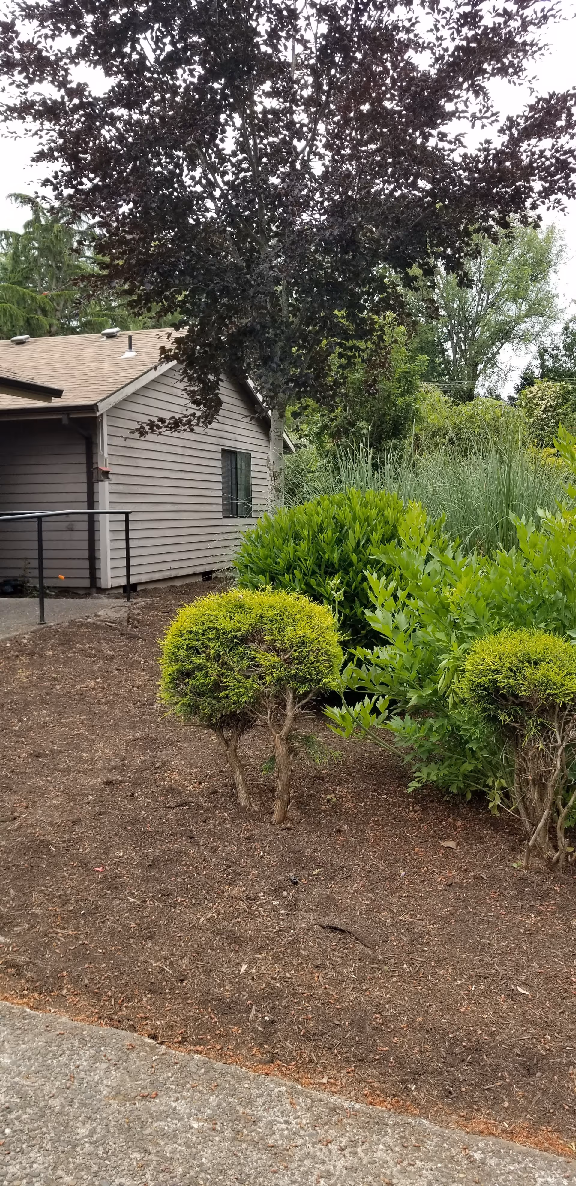 Outdoor view of a facility with a small building partially visible on the left side. The building has beige siding and a sloped roof. In front of the building, there are various green shrubs and small trees planted in a mulched area. A concrete pathway is visible at the bottom of the image. Tall trees are in the background under an overcast sky.