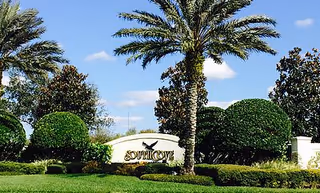 Exterior view of a senior living facility with palm trees and manicured shrubs.