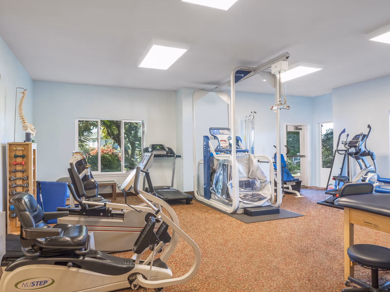 A well-lit exercise room with various fitness equipment including recumbent bikes, a treadmill, a multi-functional exercise machine, and elliptical trainers. The room has light blue walls, a window showing greenery outside, and a carpeted floor with a reddish pattern. There is also a wooden rack with small dumbbells and a model of a human spine on the left side.