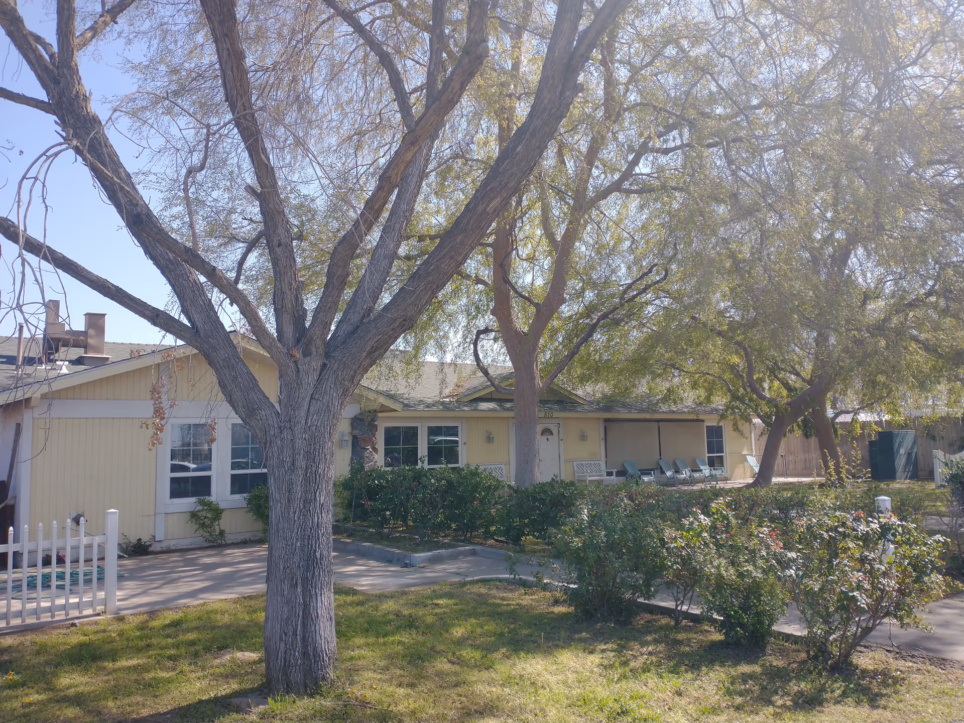 Exterior view of a single-story yellow building with white trim, partially obscured by large trees and bushes in the foreground. The building has several windows, a white door, and a row of green chairs on a covered porch area. The scene is sunny with a clear blue sky.