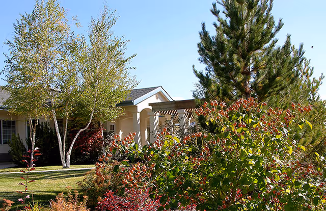 A sunny outdoor garden area with green grass, various trees including a birch and pine, and bushes with red and green leaves in front of a beige building with a covered porch.