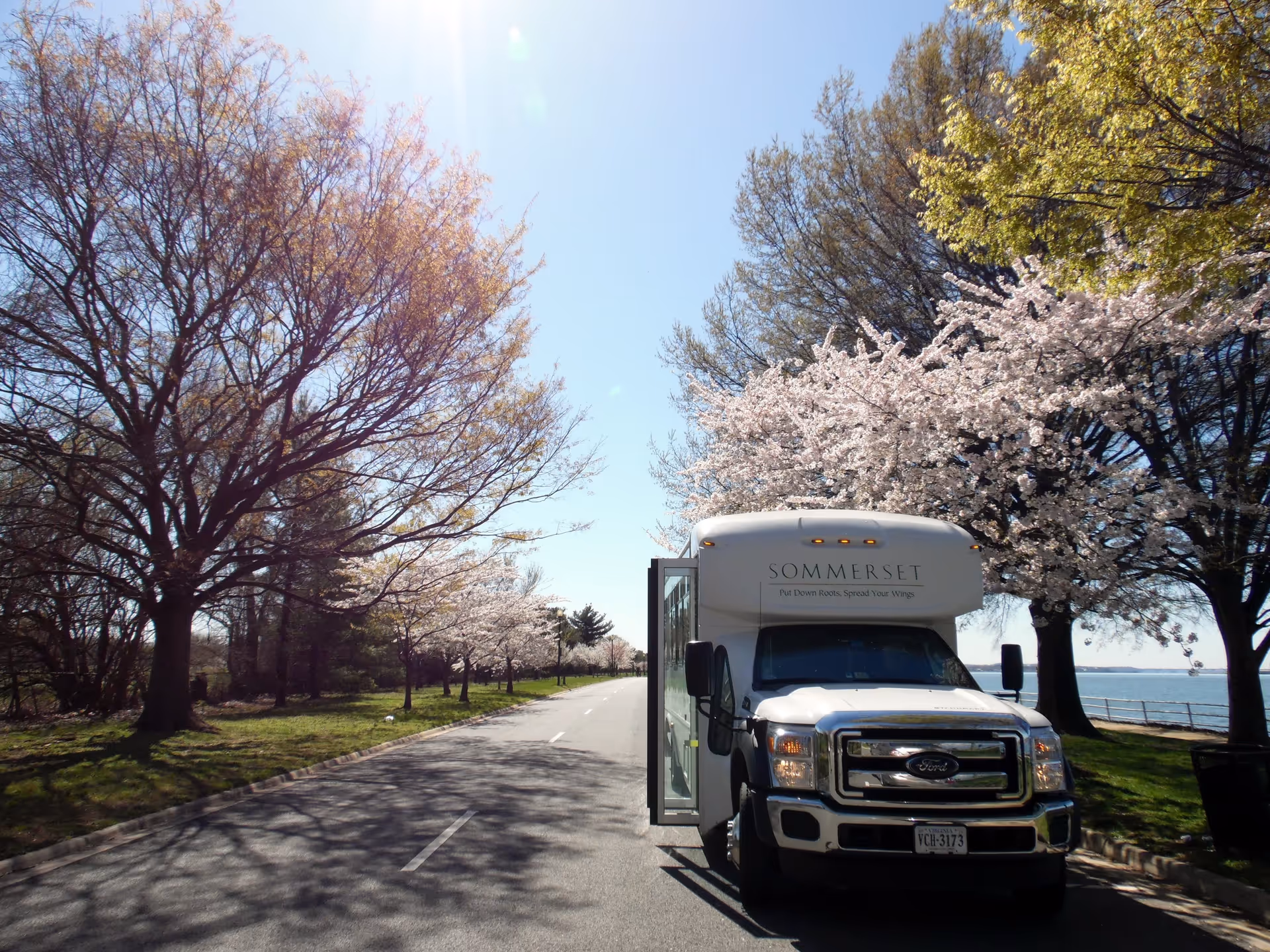 A white Sommerset Retirement Community shuttle bus parked on a tree-lined road with blooming cherry blossom trees and other leafy trees under a clear blue sky near a waterfront.