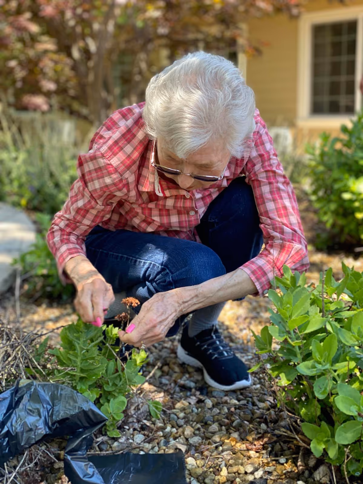 An elderly woman with white hair wearing a red plaid shirt and dark pants is crouching outdoors, tending to plants in a garden bed with small rocks. She is focused on the plants, with a black plastic bag nearby and greenery surrounding her.