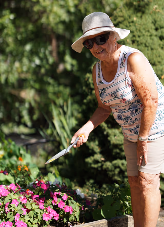 An elderly woman wearing a sun hat, sunglasses, a floral sleeveless top, and beige shorts is gardening outdoors. She is holding a small gardening tool and tending to a flower bed with vibrant pink flowers. The background is filled with green foliage and plants.