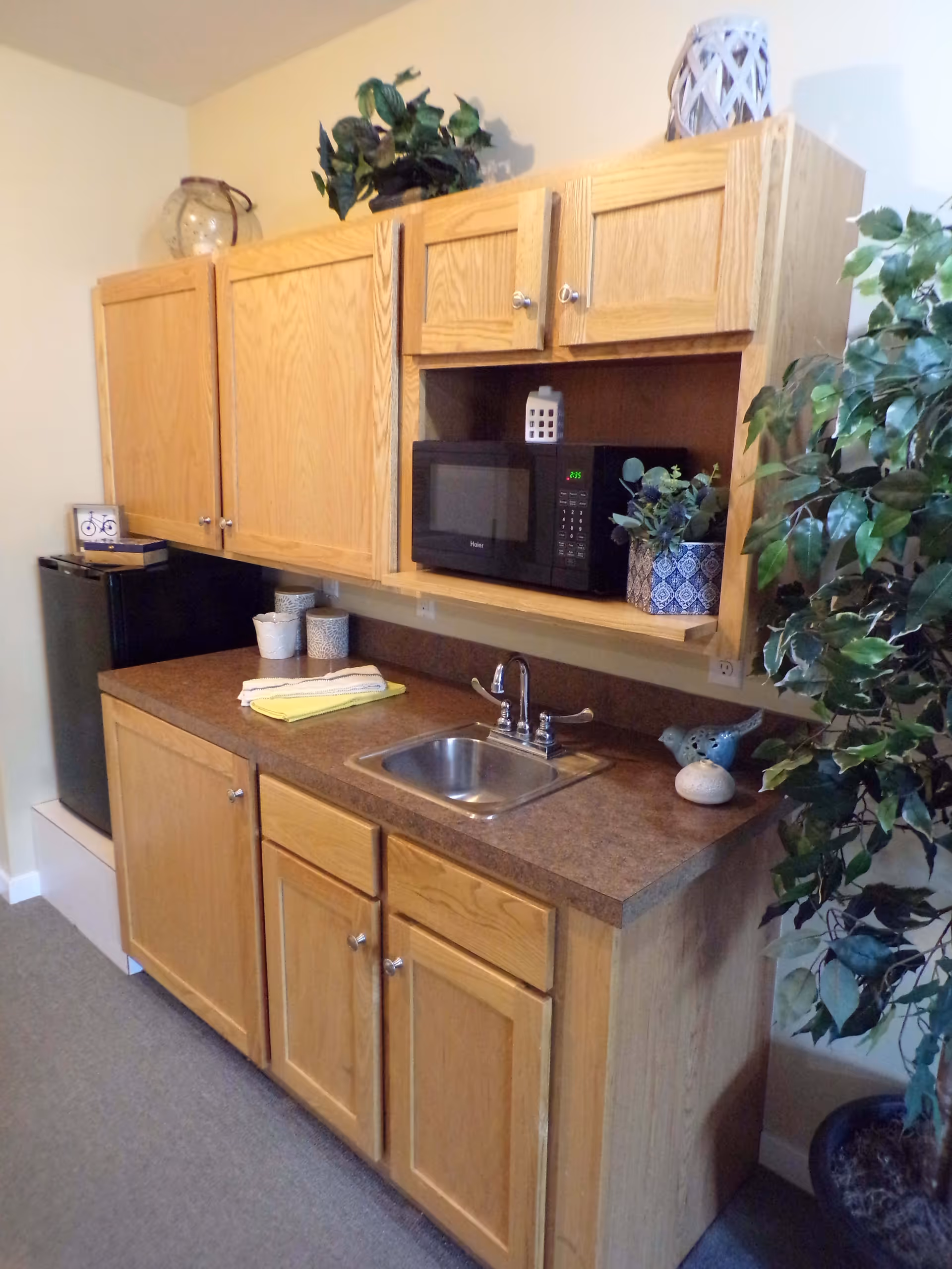 A small kitchenette with wooden cabinets, a brown countertop, a stainless steel sink with a faucet, a black microwave, a mini refrigerator, and decorative plants on the countertop and above the cabinets.