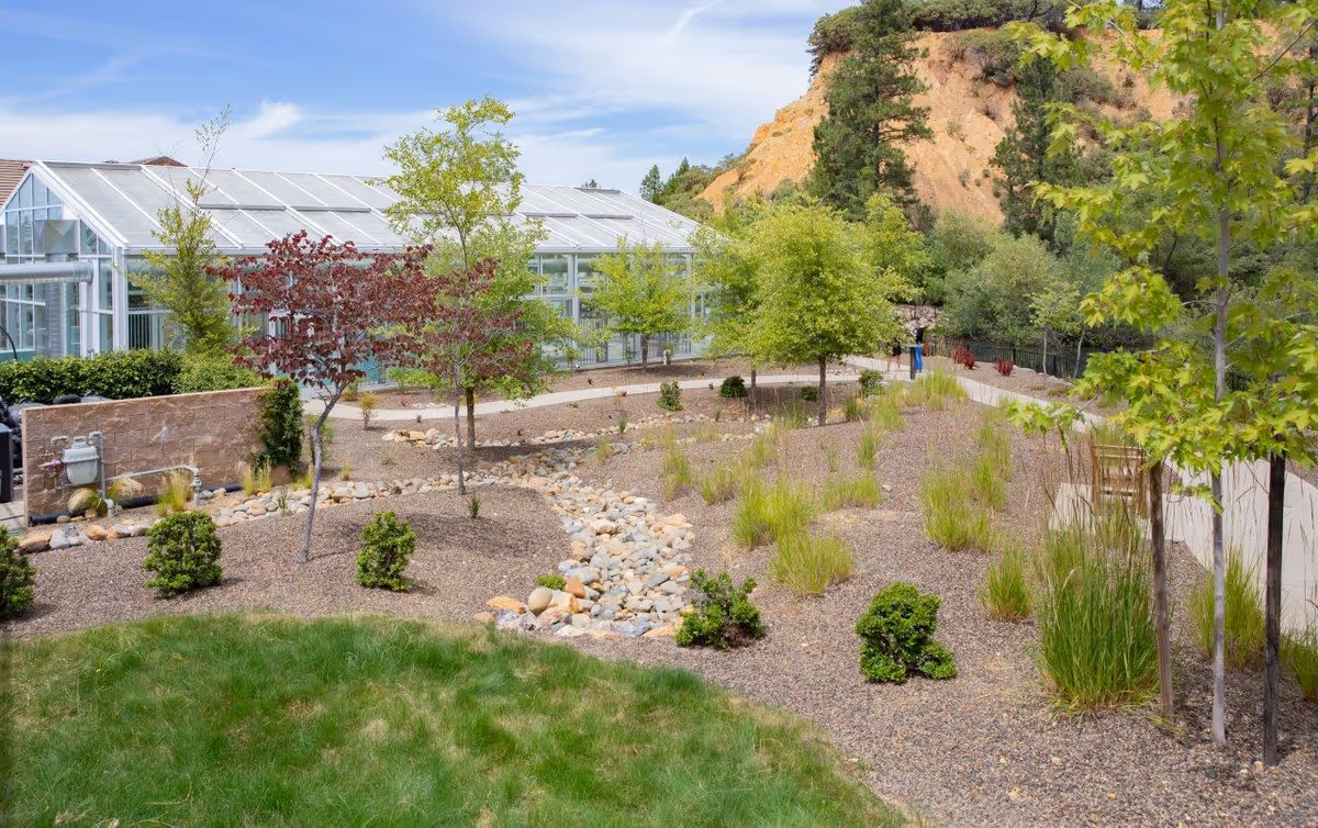 Outdoor garden area with a variety of small trees, shrubs, and plants arranged in landscaped beds with gravel and rocks. A clear pathway winds through the garden, and a large greenhouse structure is visible in the background. Hills and trees surround the area under a partly cloudy sky.
