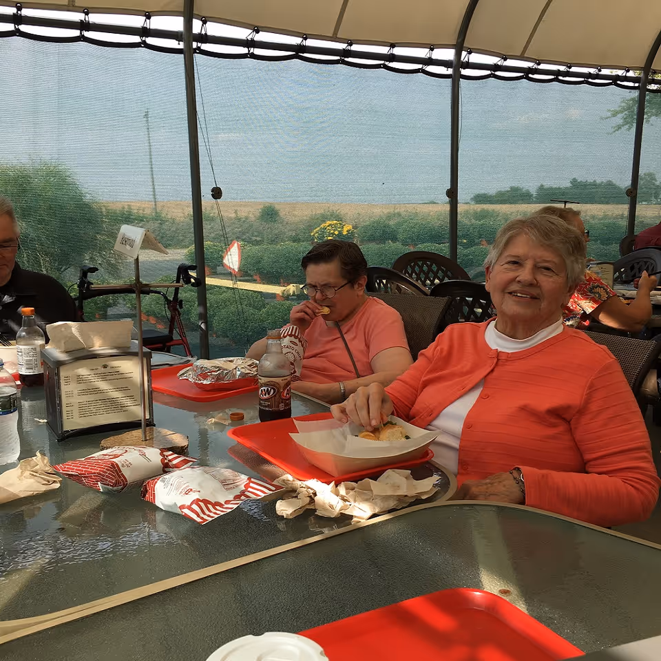 Several elderly people sitting around a glass table outdoors under a canopy, eating sandwiches and drinking soda. The background shows a mesh screen with a view of greenery and a field beyond.