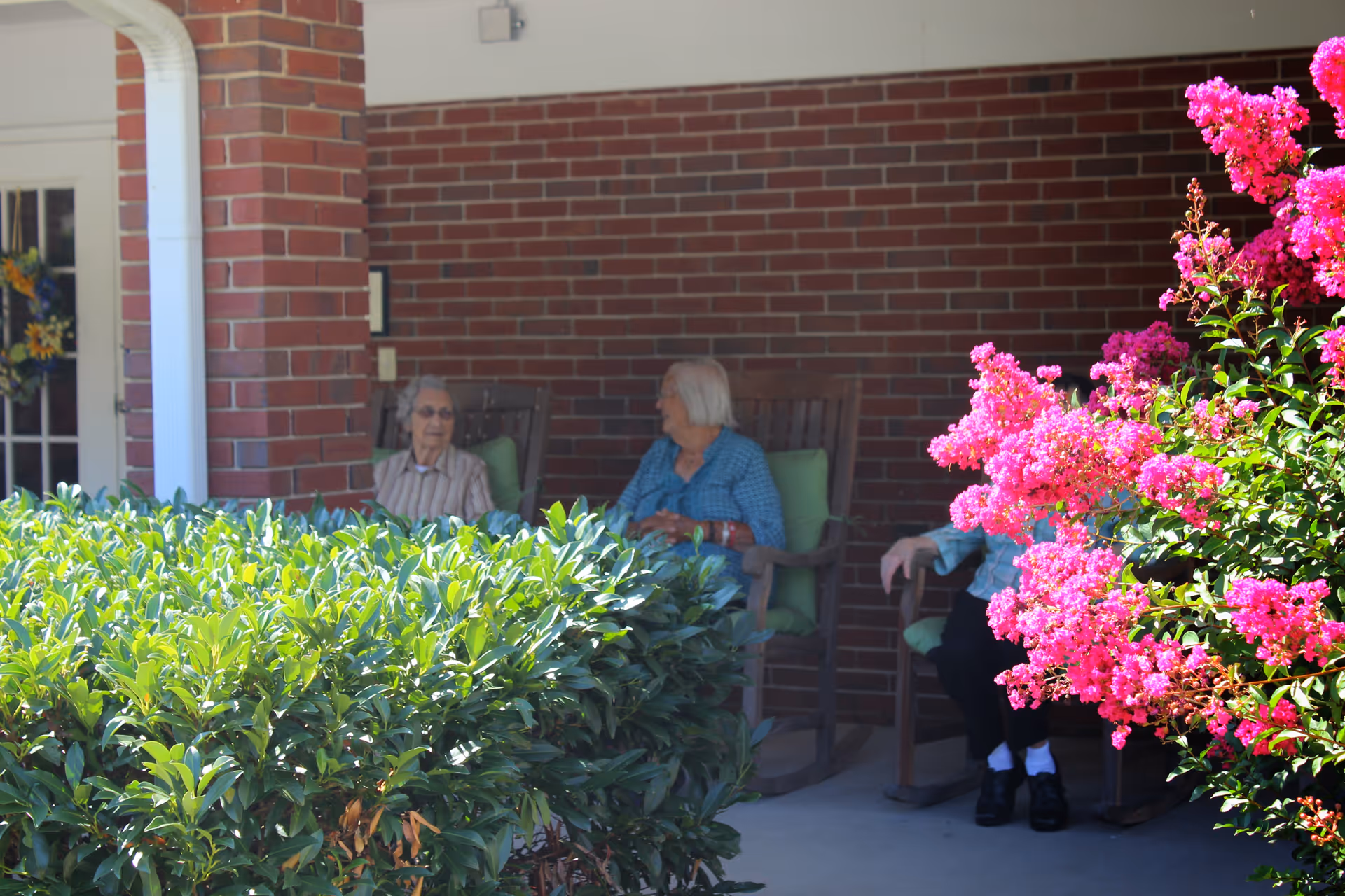 Three elderly people sitting on rocking chairs on a covered porch with a brick wall background, partially obscured by green bushes and vibrant pink flowers in the foreground.