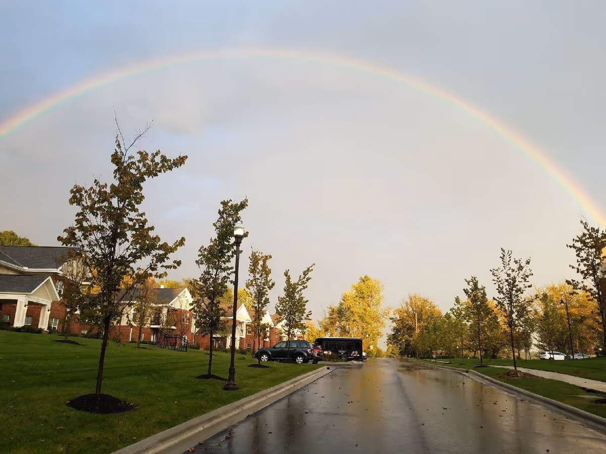 A wet paved road lined with young trees and street lamps on both sides, leading to a residential area with brick buildings. A rainbow arches across the cloudy sky above the scene.
