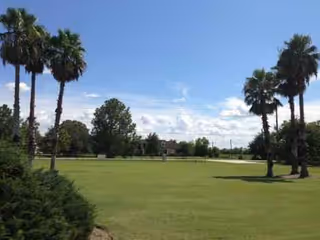 Sunny outdoor lawn with palm trees and expansive green space under blue sky