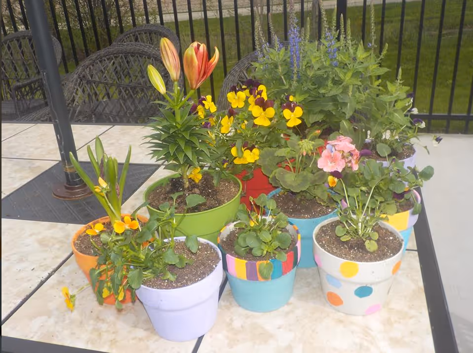 Colorful potted flowers arranged on a patio table outdoors.