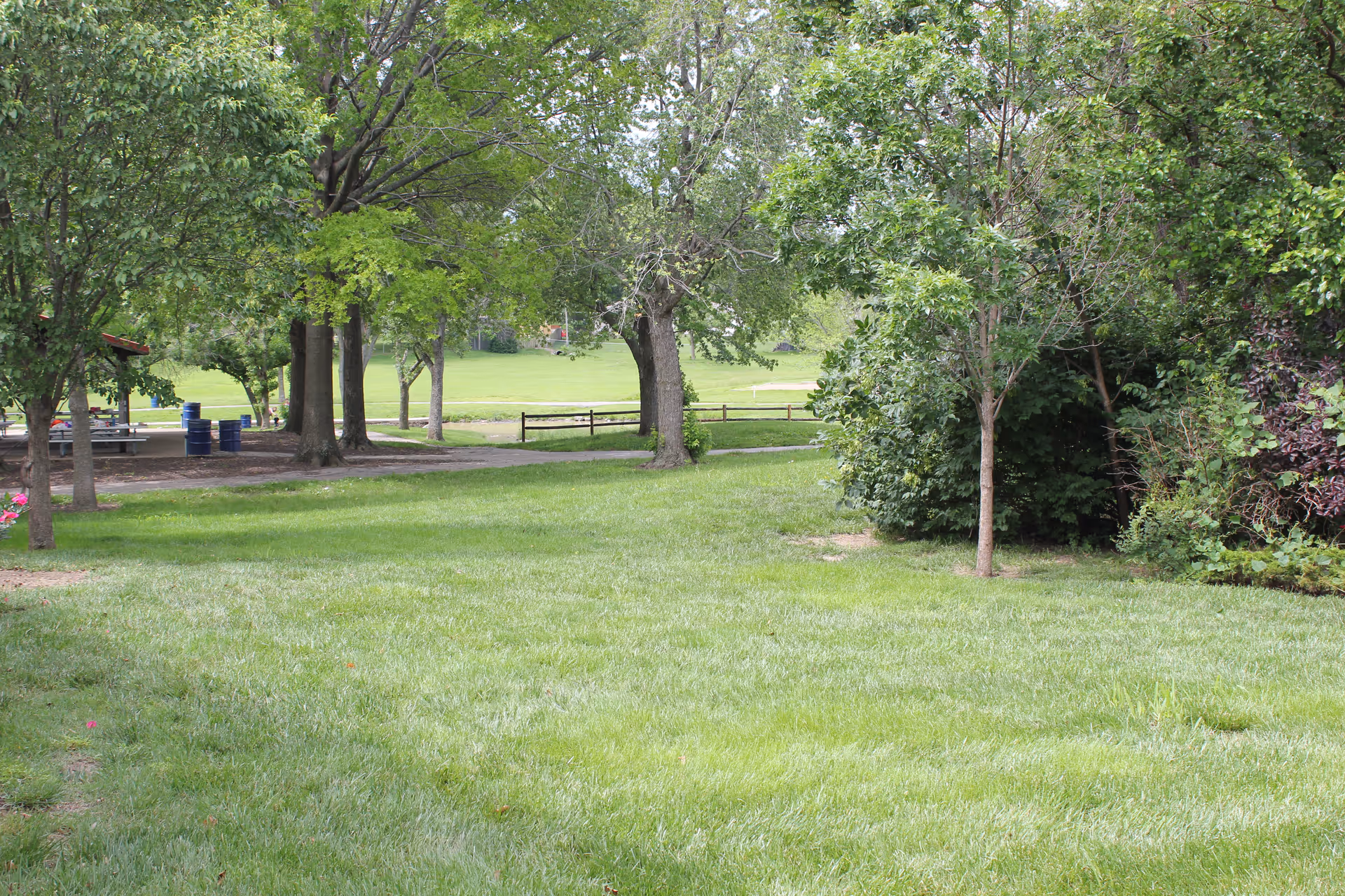A lush green outdoor area with well-maintained grass, several trees, and a picnic shelter with benches and blue trash bins in the background.