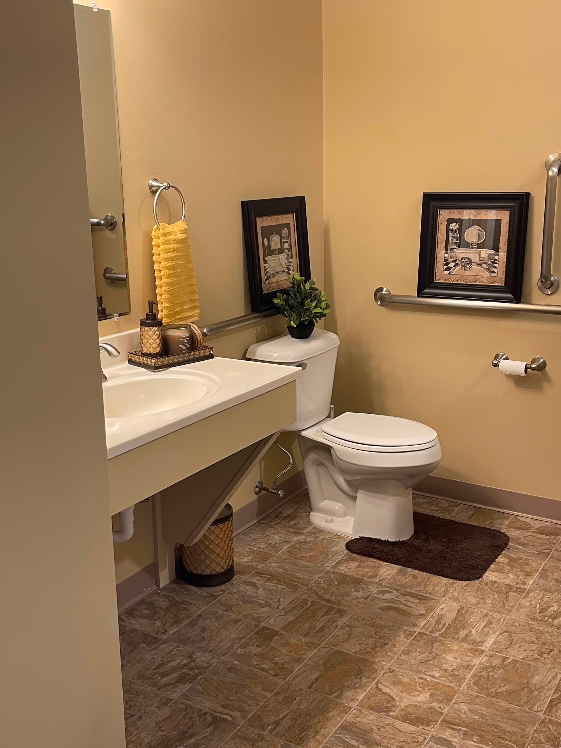 A clean bathroom with beige walls and tiled floor. It features a white toilet with a brown rug in front, a white sink with a countertop, a yellow hand towel hanging on a ring, a small plant on the toilet tank, and two framed pictures on the wall. There are metal grab bars installed on the walls near the toilet and sink.