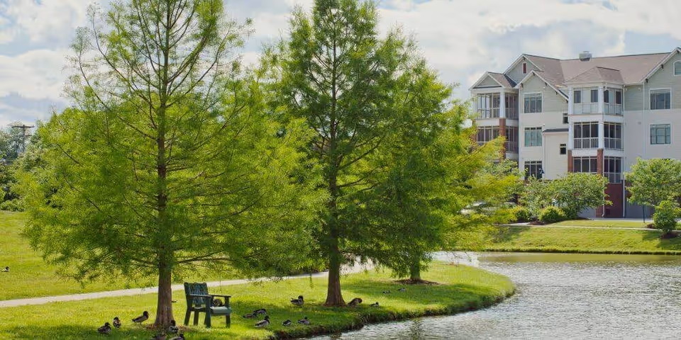 A peaceful outdoor scene at Asbury Place Maryville featuring a small pond with ducks swimming and resting on the grassy bank. Two large green trees provide shade near a green bench facing the water. In the background, there is a multi-story residential building with balconies and large windows under a partly cloudy sky.
