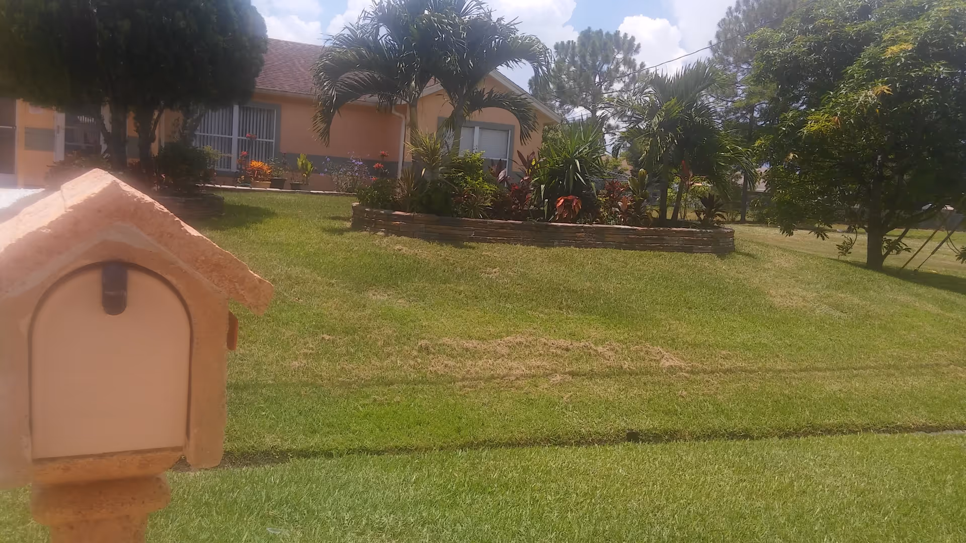A grassy outdoor area with a small mailbox in the foreground shaped like a house. In the background, there is a garden bed with various plants and flowers, palm trees, and a single-story building with windows and a door. The sky is partly cloudy.
