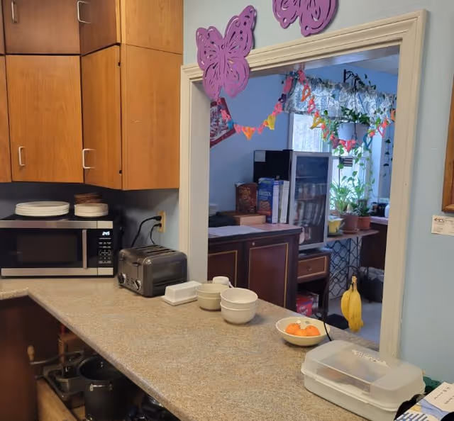 Kitchen countertop with a microwave, toaster, bowls and a bowl of fruit beneath a pass-through window decorated with purple butterfly cutouts, showing a view into a room with plants and cabinets.