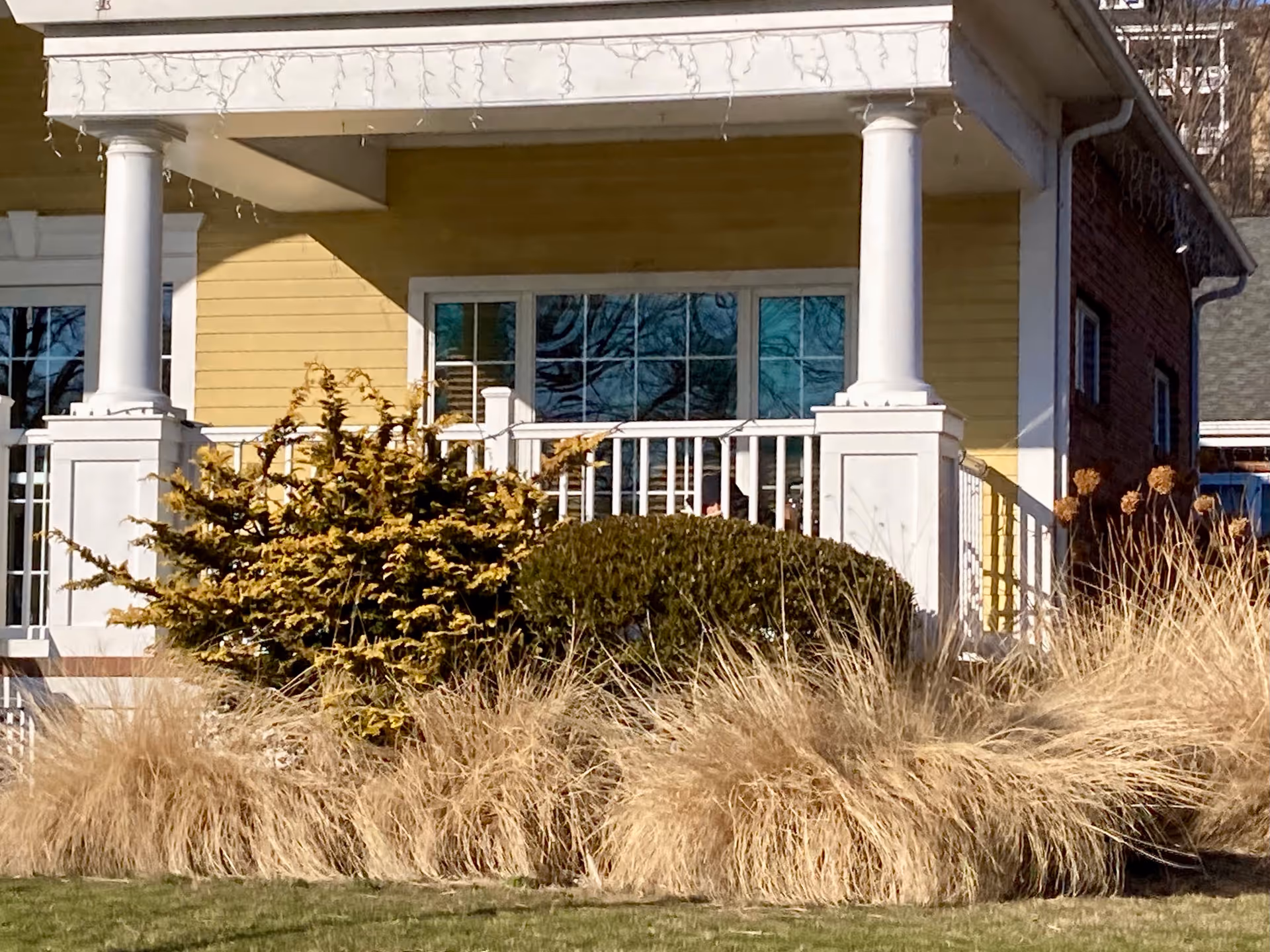 Front porch of a yellow building with white columns and railings, surrounded by bushes and tall dry grass, with a large window reflecting trees.