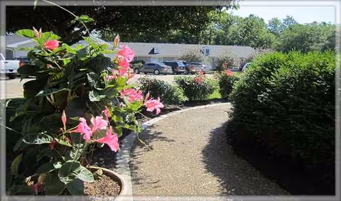 A gravel walkway curves past pink flowers and trimmed hedges toward a building front with cars.