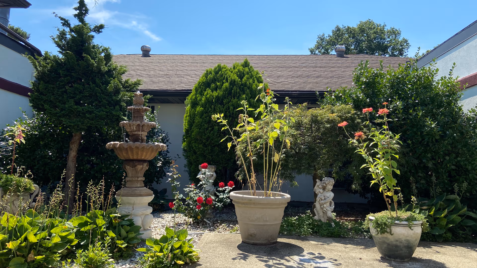 A sunny outdoor garden area with various green plants and flowers in pots and planted in the ground. There is a multi-tiered stone fountain on the left side and a small cherub statue among the plants on the right. The garden is bordered by a building with a brown shingled roof and white walls, under a clear blue sky.