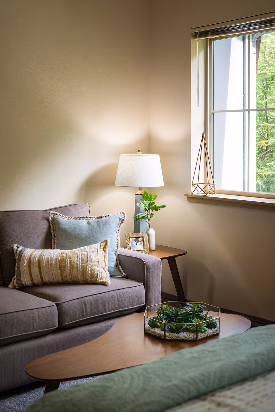 A cozy living room corner with a gray sofa adorned with two decorative pillows, a wooden side table holding a lamp, a small plant, and a framed photo. A window with blinds lets in natural light, and a wooden coffee table in front holds a glass container with green succulents.