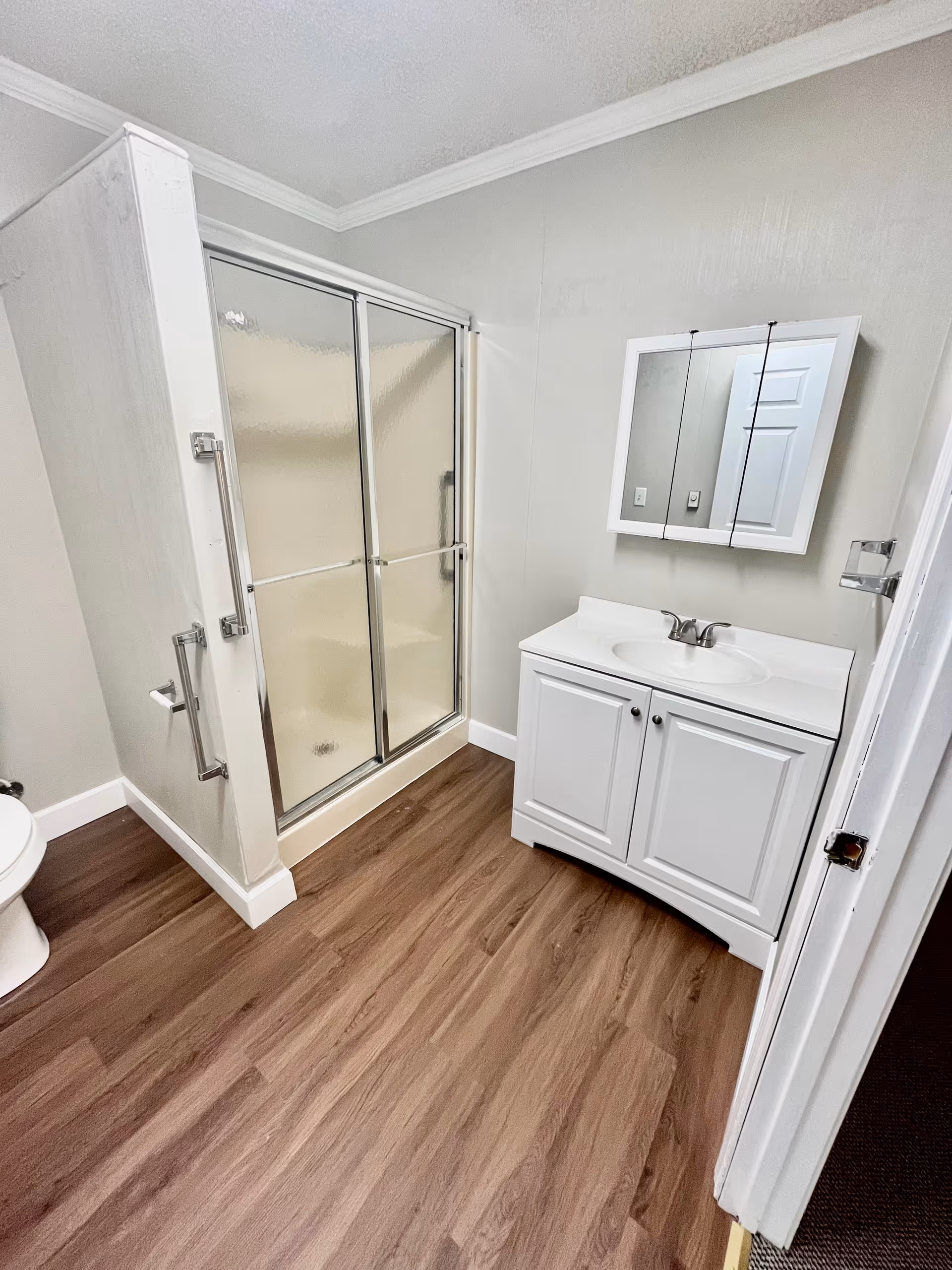 Bathroom with a glass-enclosed shower, white vanity and mirror, and wood-look flooring.