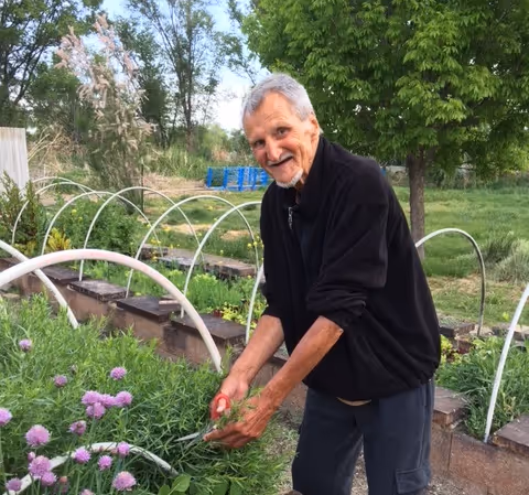 An elderly man wearing a black jacket is gardening outdoors, trimming plants with red-handled scissors. He is smiling and surrounded by green plants and flowers, with trees and a grassy area in the background.