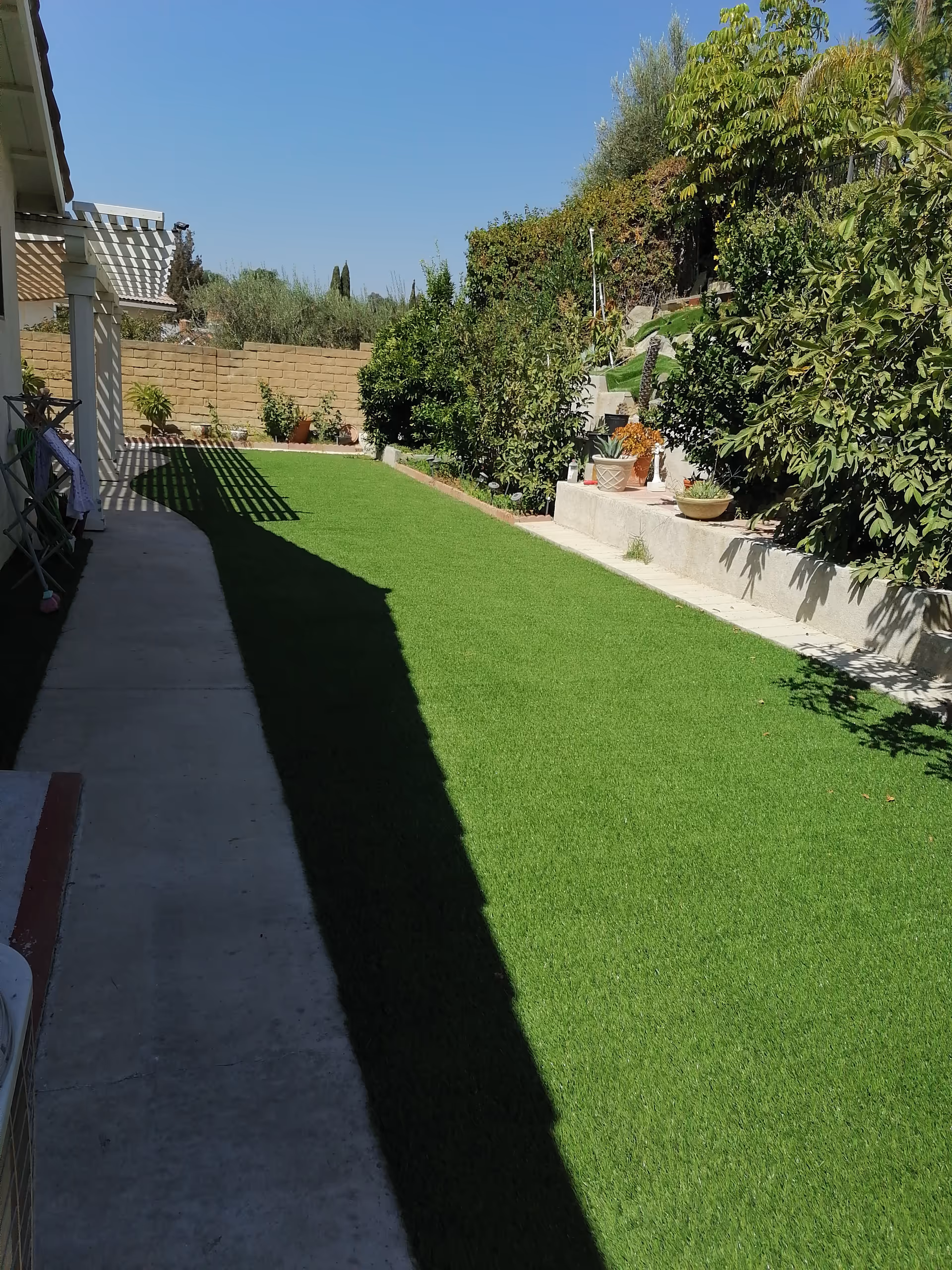 A sunny outdoor garden area with a concrete walkway on the left and a well-maintained green lawn on the right. The lawn is bordered by various bushes and potted plants, with a brick wall and trees in the background under a clear blue sky.