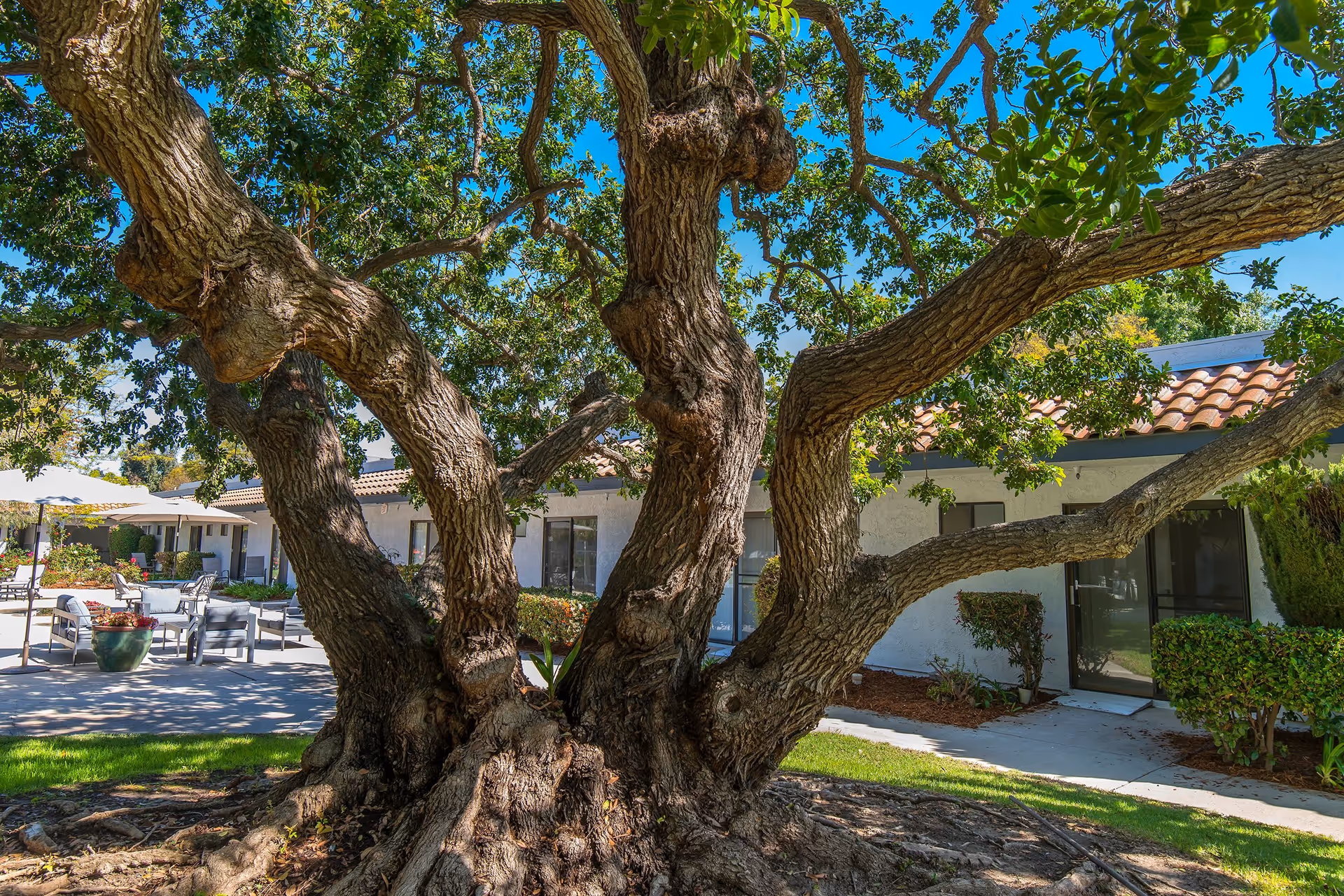 Photo 4 of Aasta Assisted Living of Camarillo
