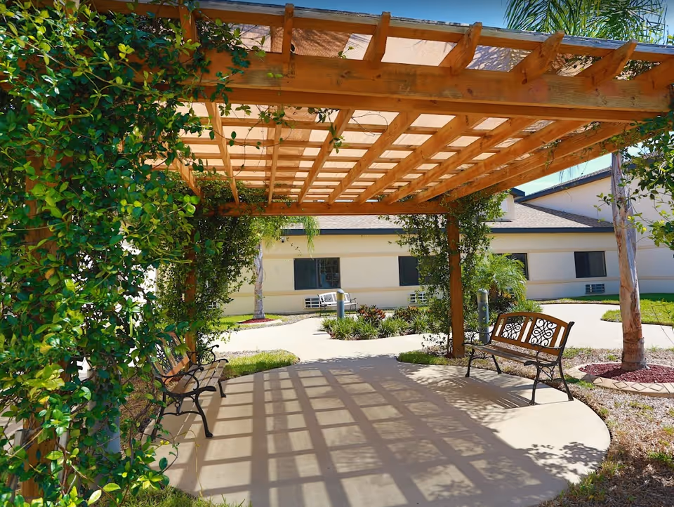 Wooden pergola with climbing vines and two benches casting lattice shadows in a courtyard.