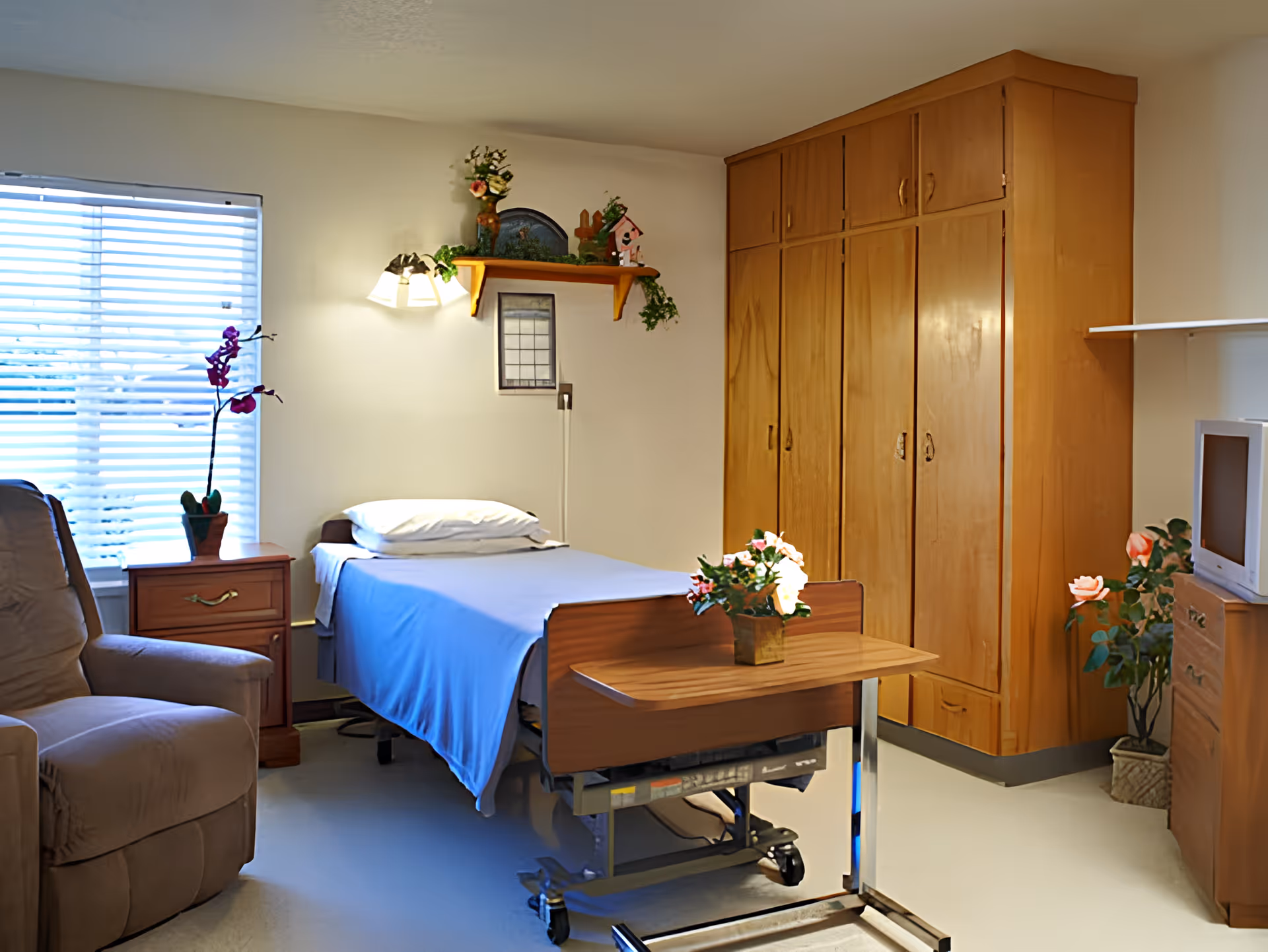 A small, cozy bedroom in a senior living facility featuring a single bed with a blue blanket and white pillow, a wooden bedside table with a purple orchid, a comfortable armchair, a wooden wardrobe, a small TV on a wooden dresser, and decorative plants and flowers placed around the room.
