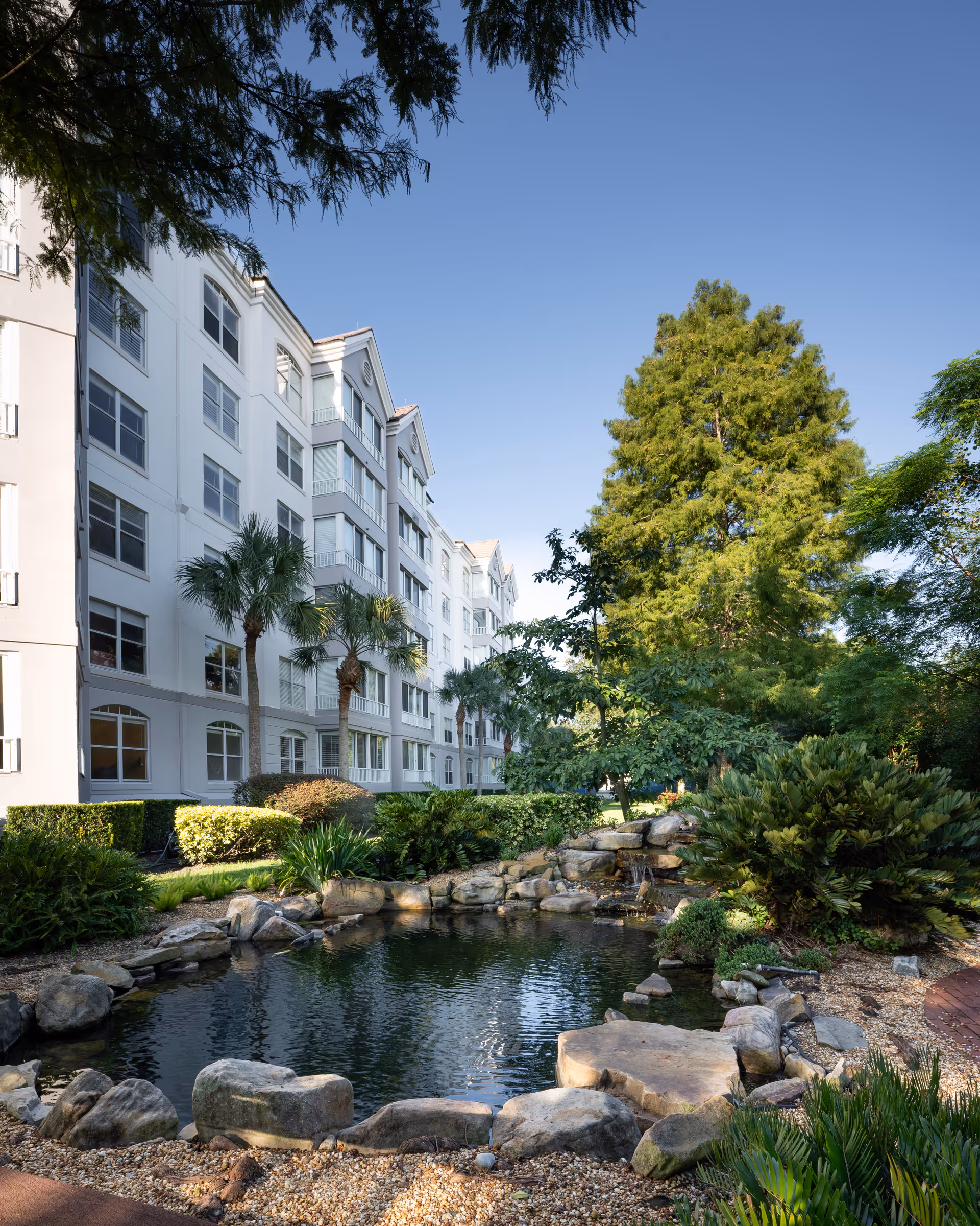A landscaped outdoor area at The Mayflower at Winter Park featuring a small pond surrounded by rocks and lush greenery, with a multi-story white building and tall trees in the background under a clear blue sky.