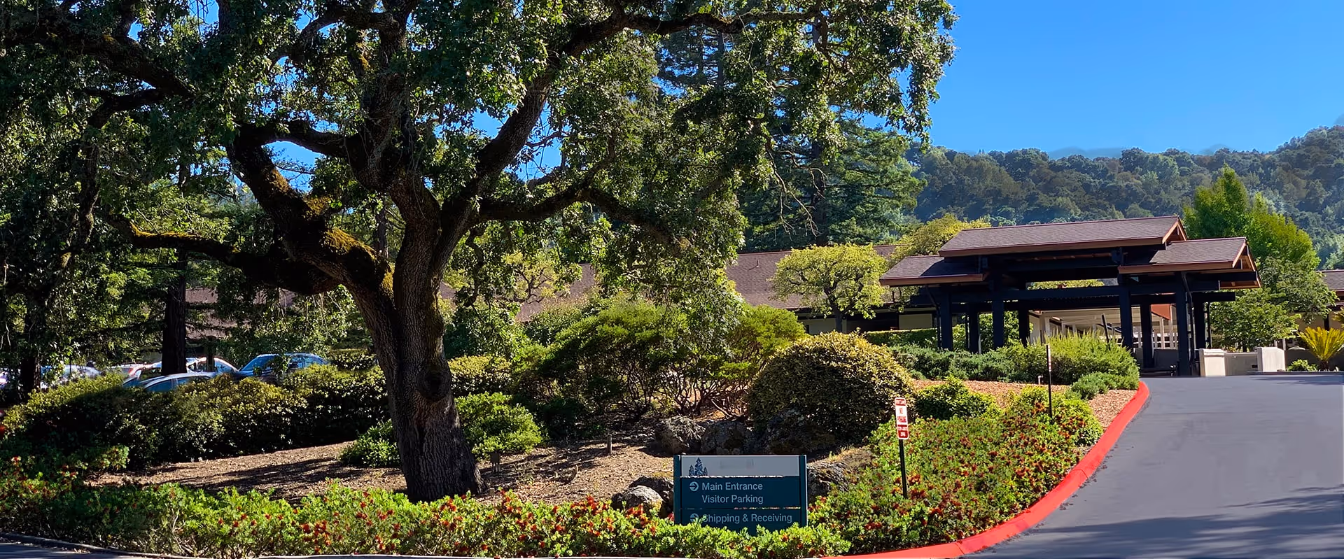 View of the entrance area of The Sequoias Portola Valley facility, showing a driveway leading to a covered entrance structure surrounded by landscaped greenery, trees, and bushes under a clear blue sky.