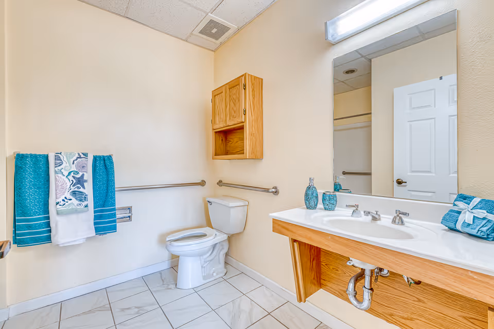 Accessible bathroom with a toilet, wall grab bars, large vanity with sink and mirror, wooden cabinet, and teal towels.