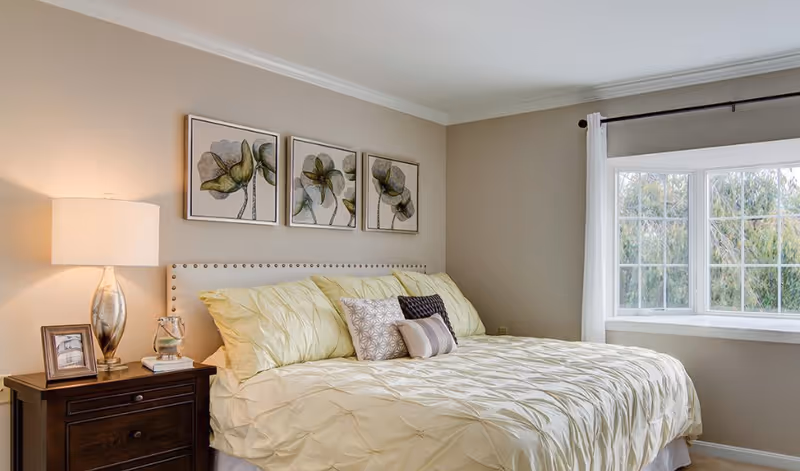 Well-lit bedroom with a large bed dressed in pale bedding, decorative pillows, a nightstand with a lamp and framed art above the headboard near a window.