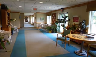 A long, well-lit hallway in an assisted living facility with carpeted floors and a blue border. The hallway features several chairs, tables, and numerous potted plants along the windows and walls. The ceiling has recessed lighting, and there are exit signs visible in the distance.
